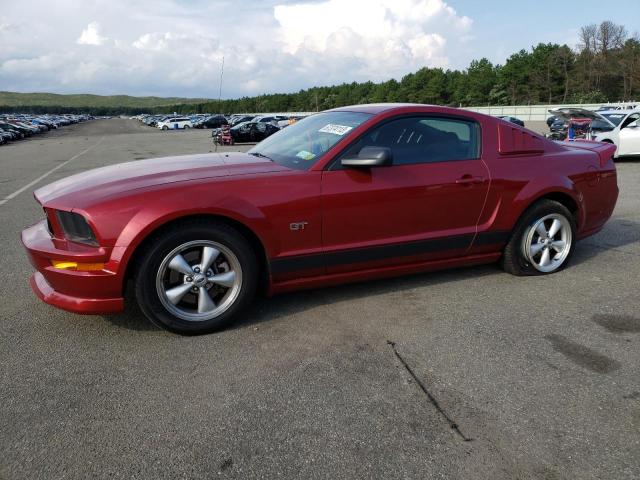 FORD MUSTANG GT 2007 1zvft82h575266594