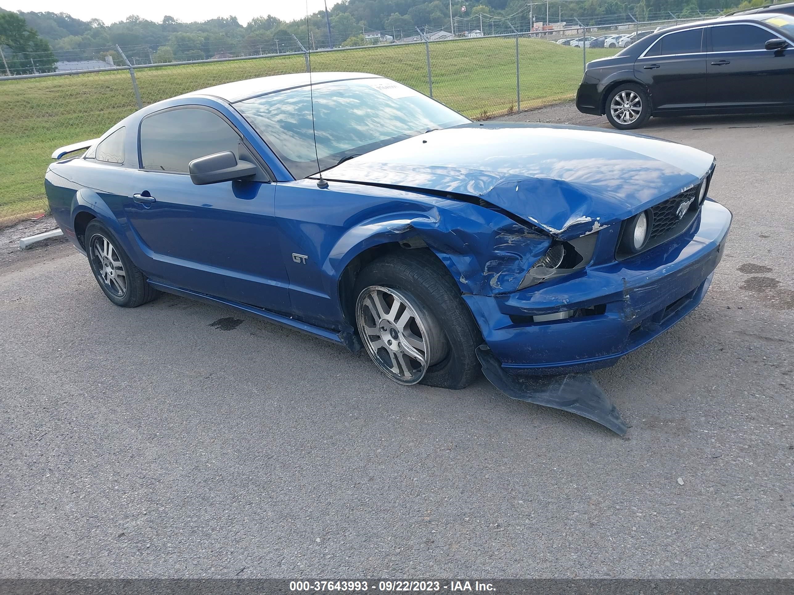 FORD MUSTANG 2006 1zvft82h665224353