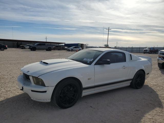 FORD MUSTANG 2007 1zvft82h675323188