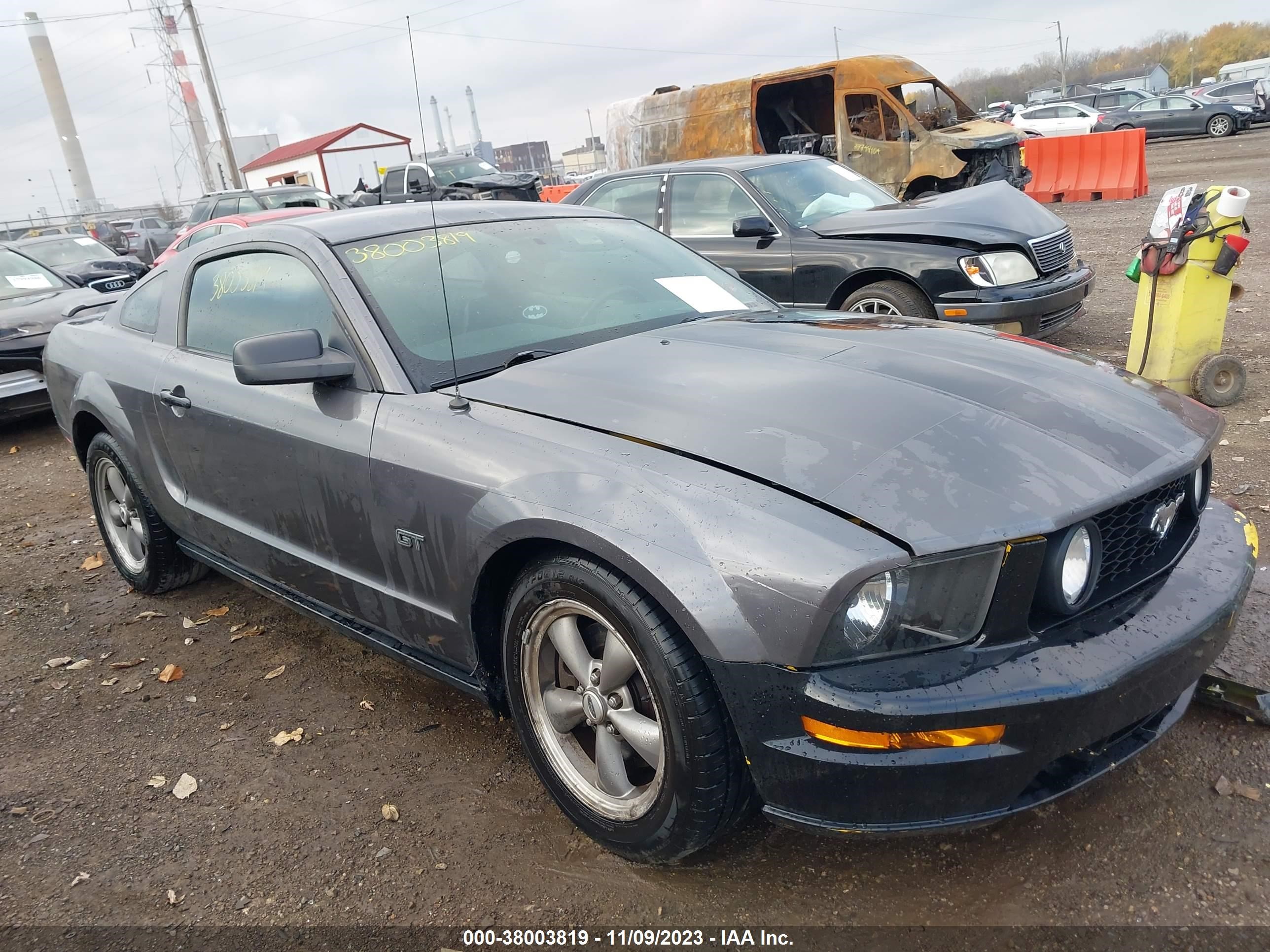 FORD MUSTANG 2006 1zvft82h765219050