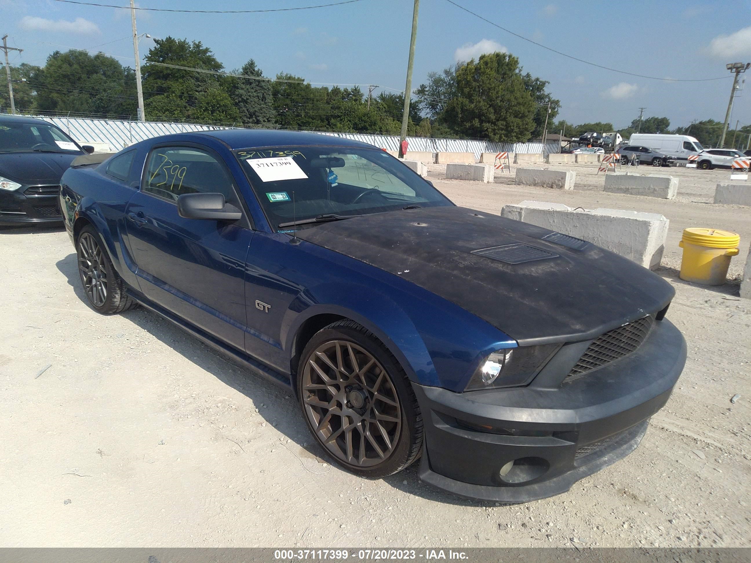 FORD MUSTANG 2006 1zvft82h865193039