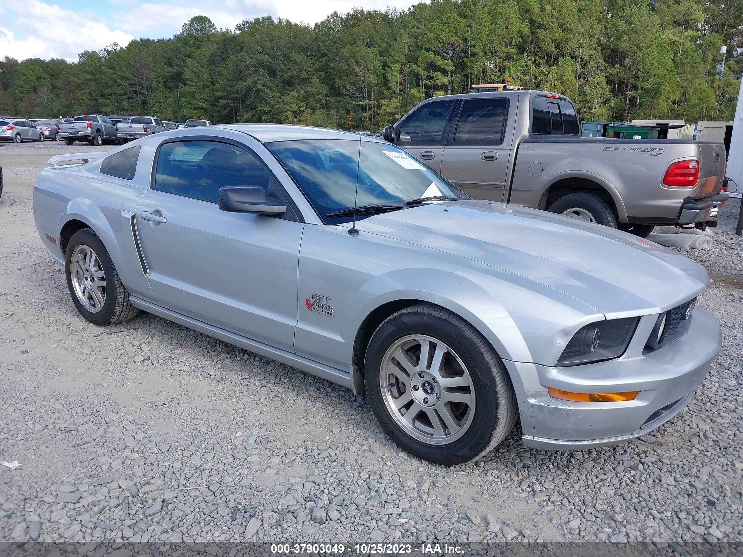 FORD MUSTANG 2006 1zvft82h865260125