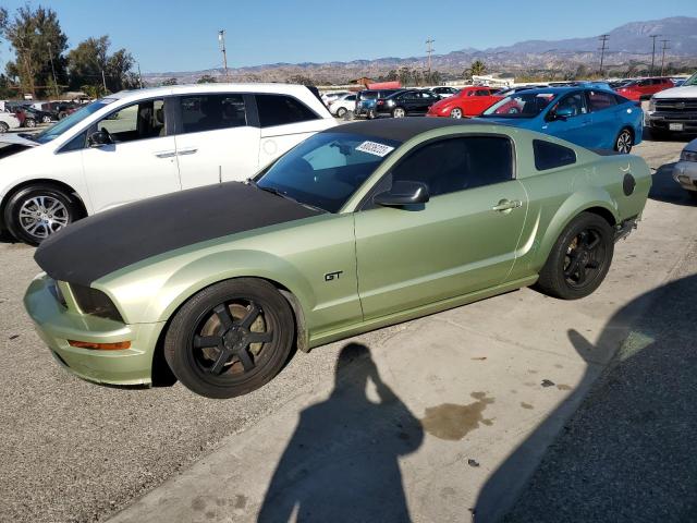 FORD MUSTANG 2006 1zvft82h965138003