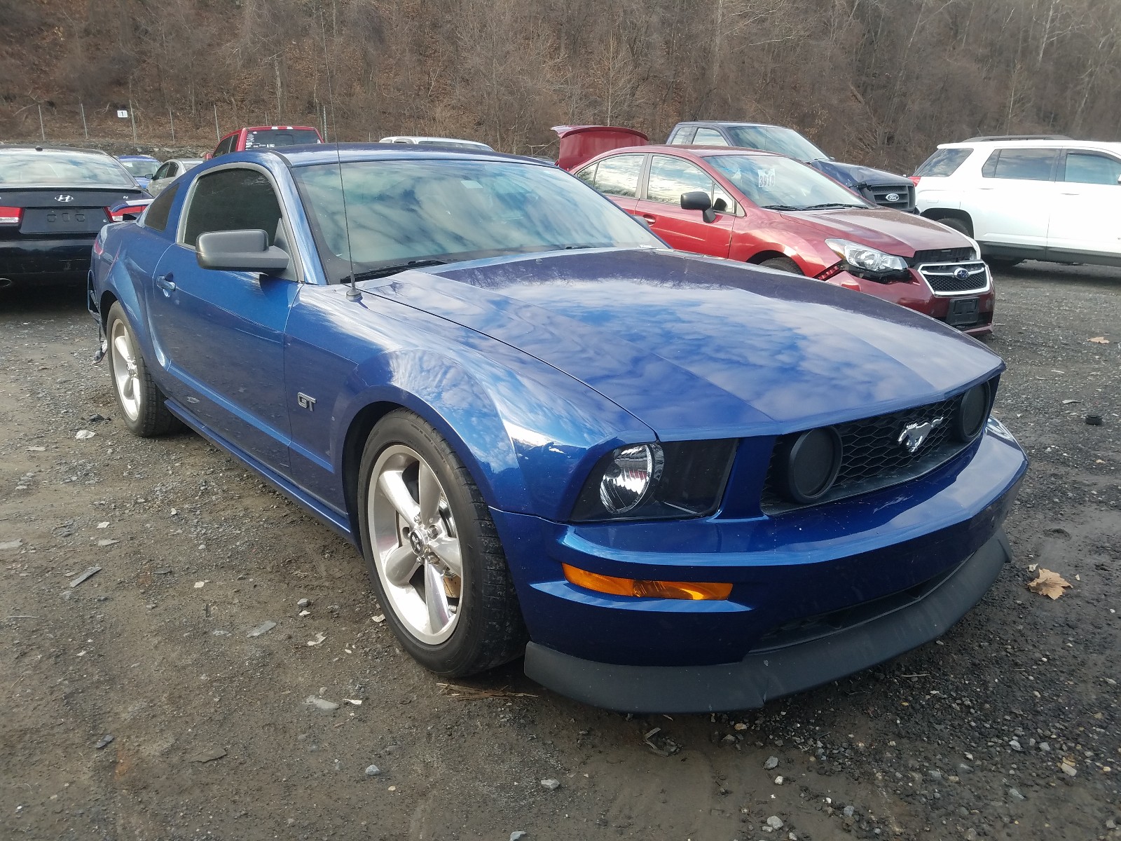 FORD MUSTANG GT 2006 1zvft82h965249795