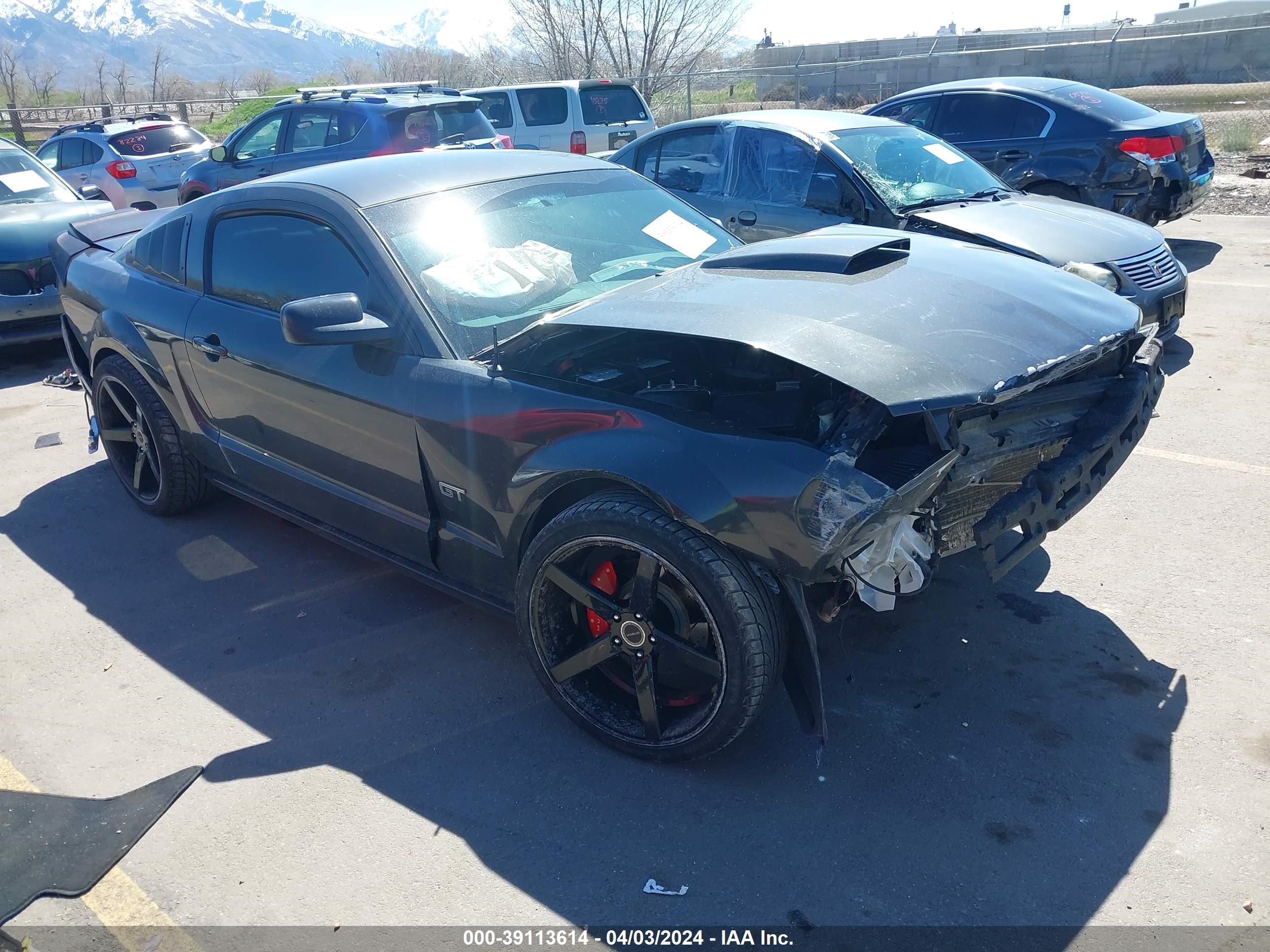 FORD MUSTANG 2007 1zvft82h975346481