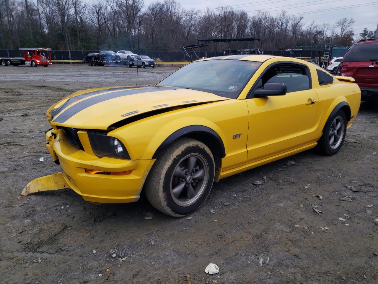 FORD MUSTANG 2005 1zvft82hx55196510