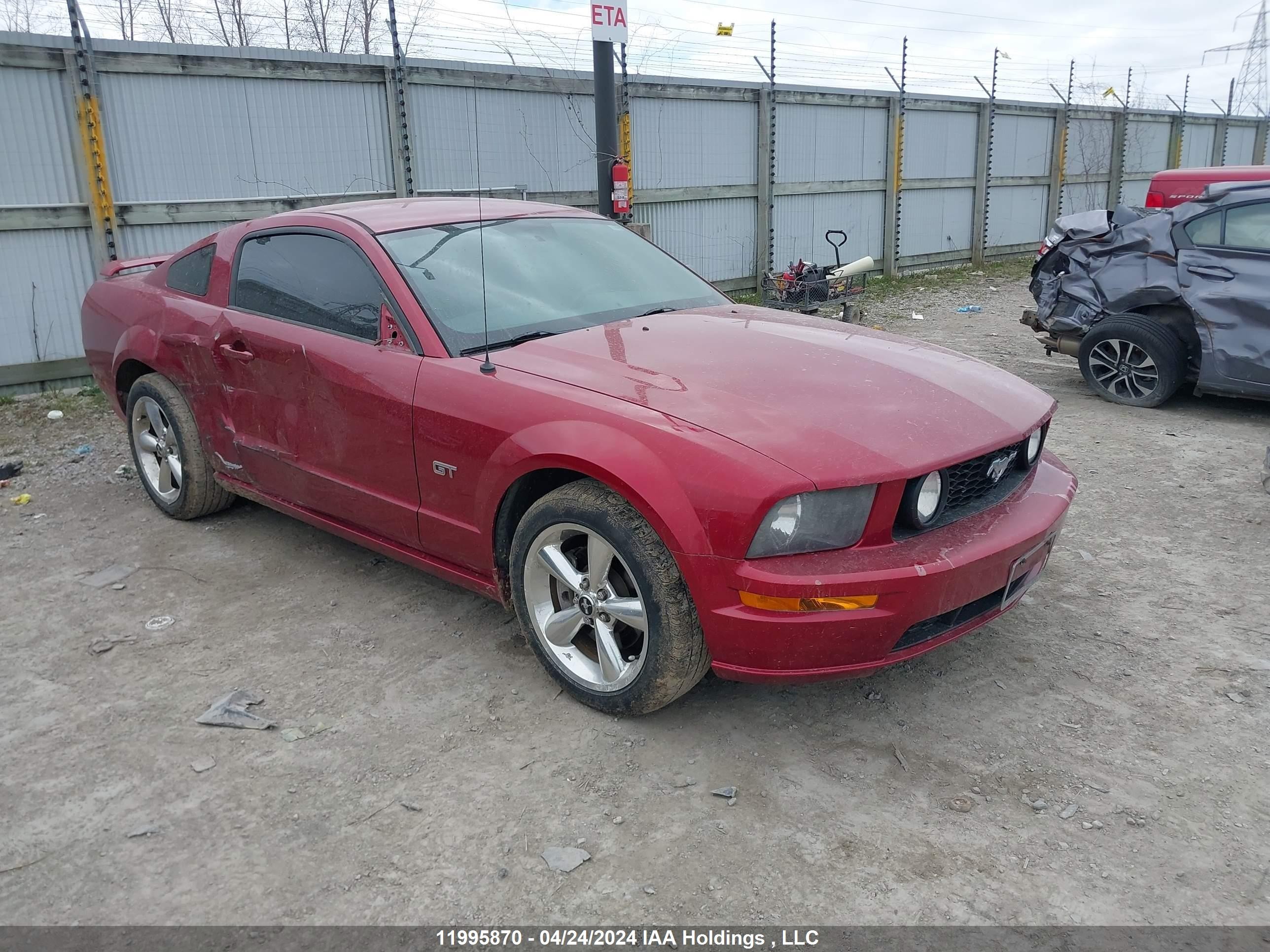 FORD MUSTANG 2006 1zvft82hx65187937