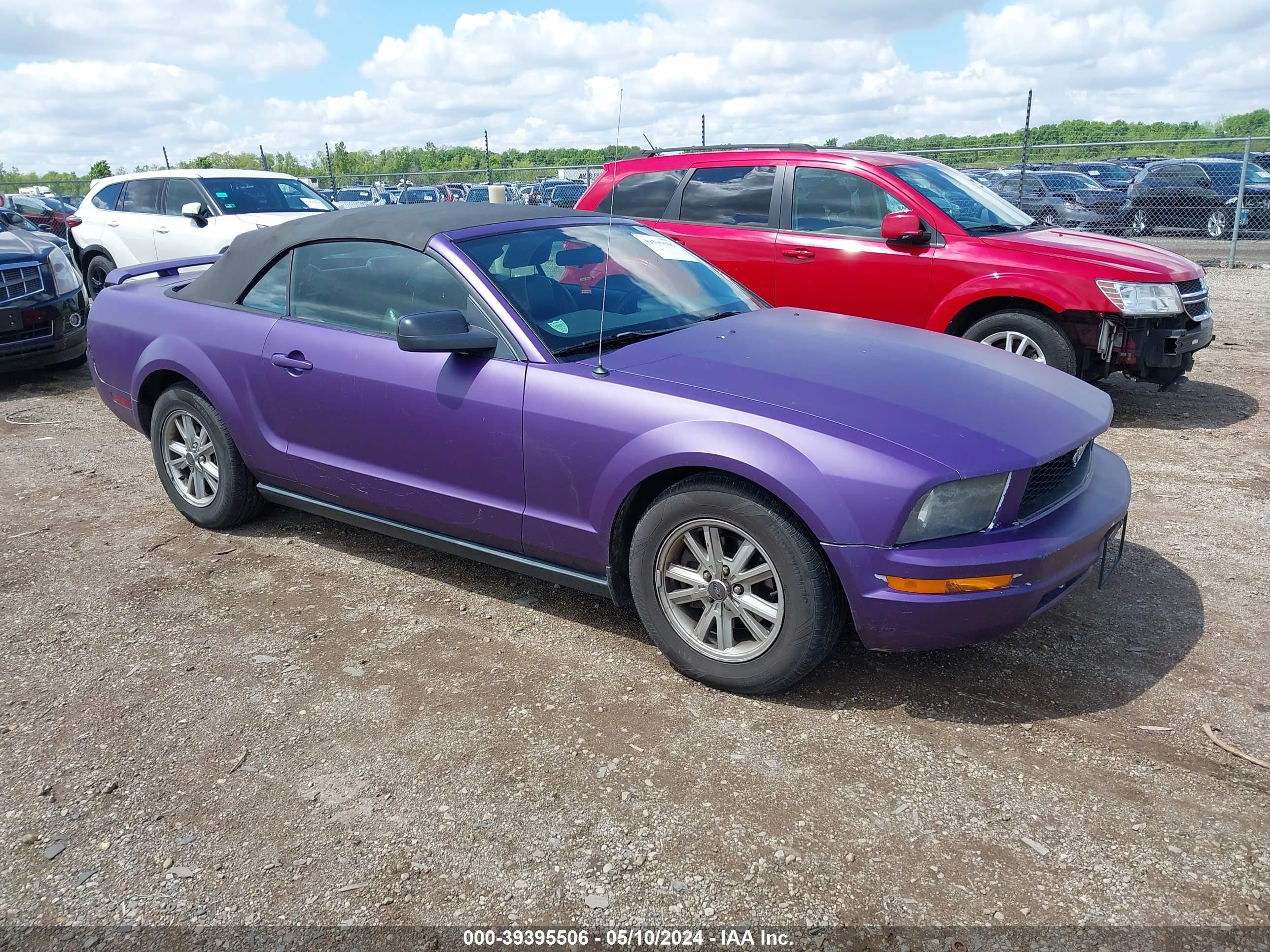 FORD MUSTANG 2005 1zvft84n055216394