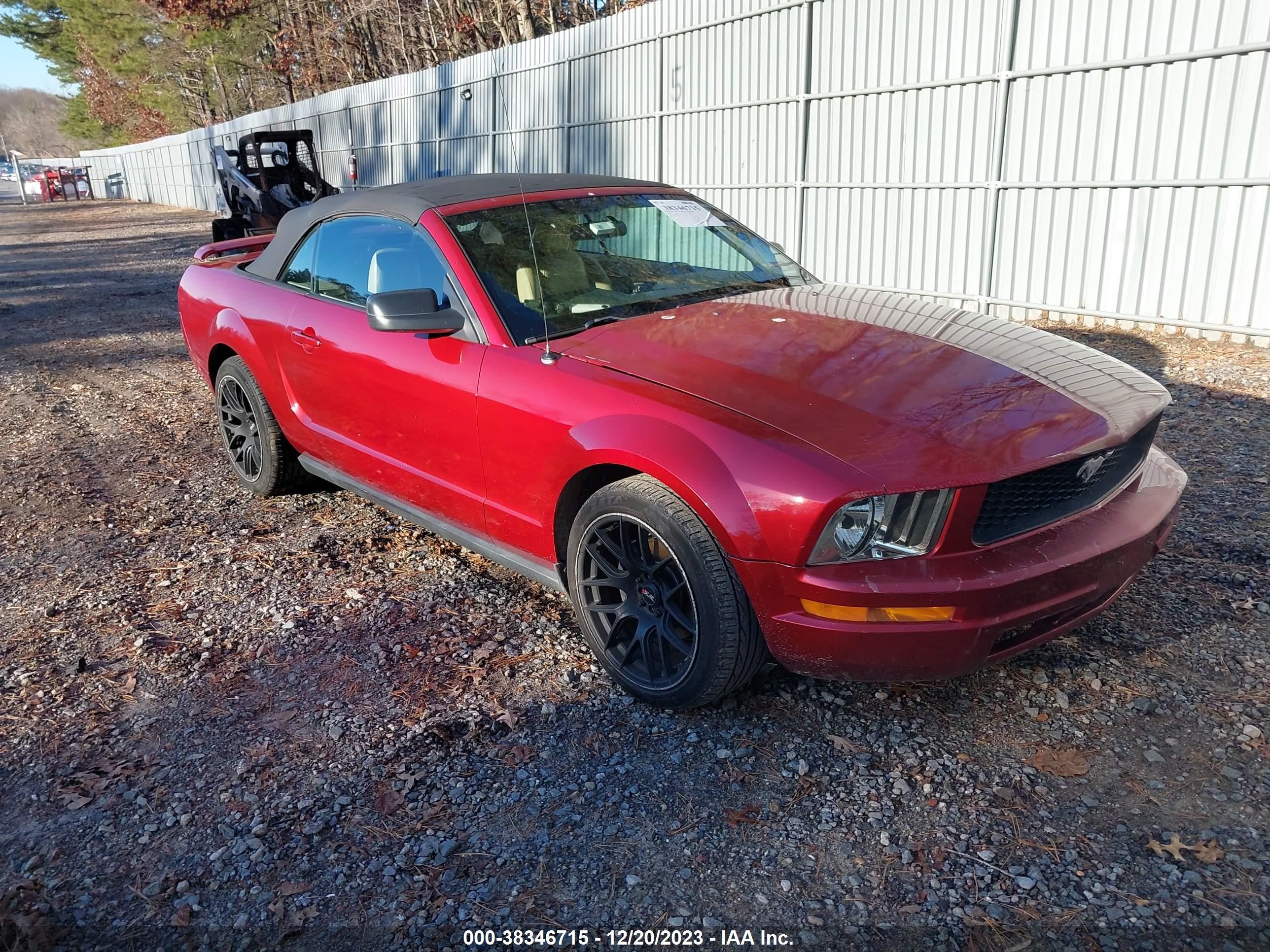 FORD MUSTANG 2005 1zvft84n055231669