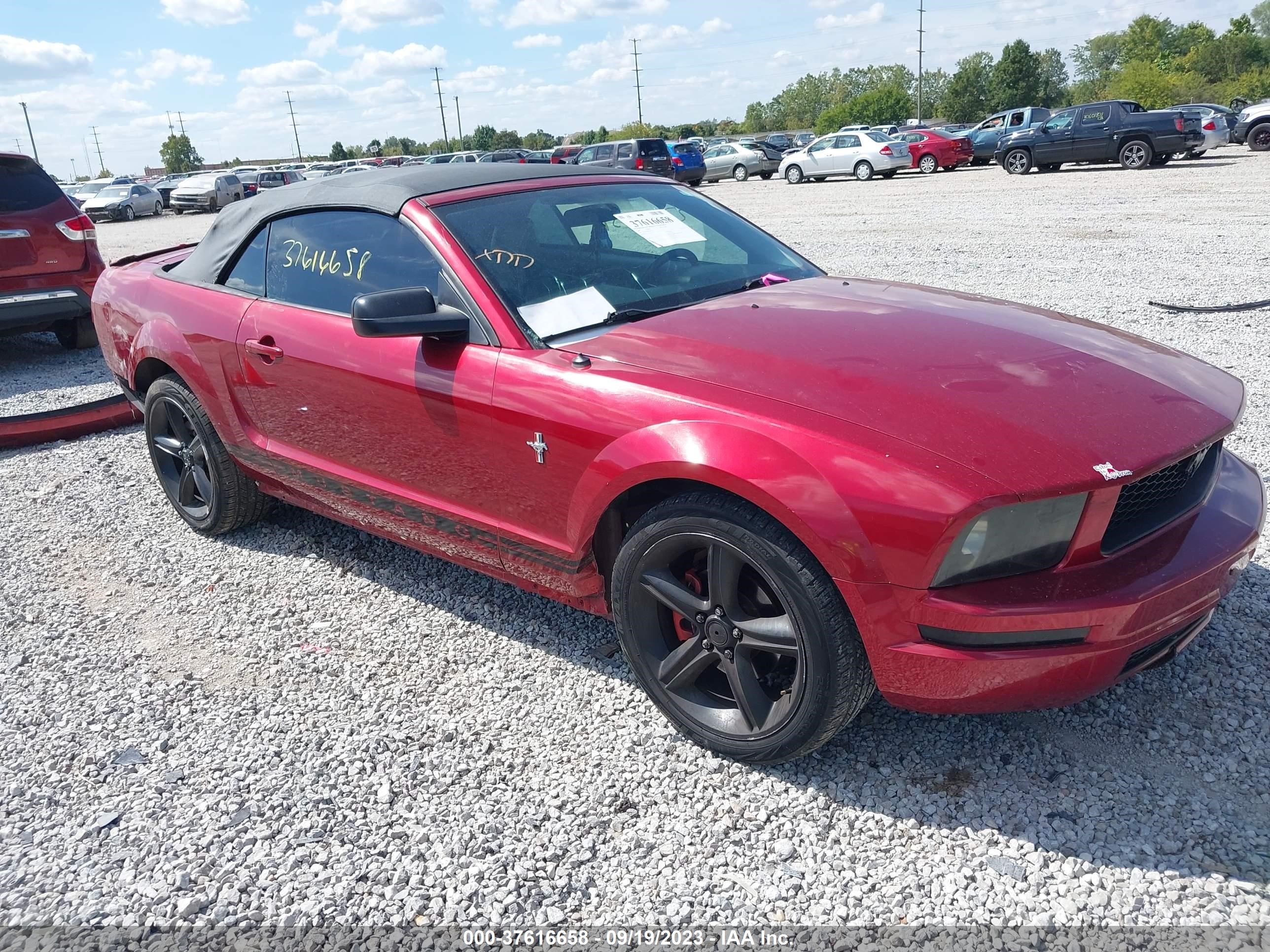 FORD MUSTANG 2007 1zvft84n075206239