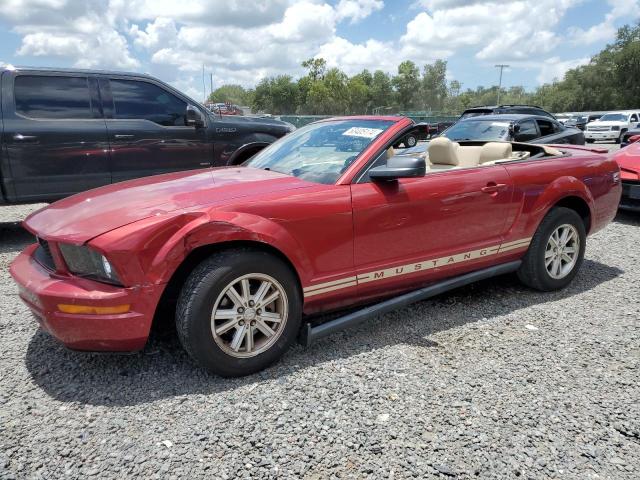 FORD MUSTANG 2007 1zvft84n075292250