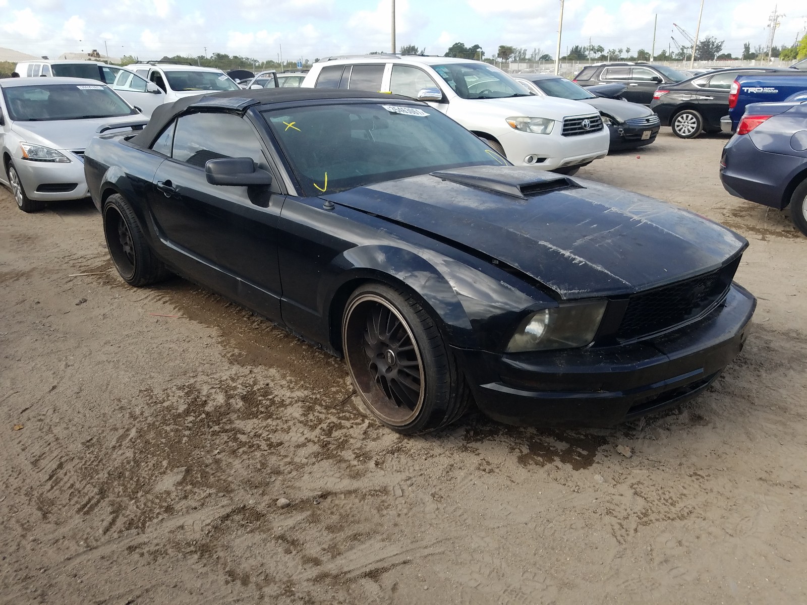 FORD MUSTANG 2005 1zvft84n155194857