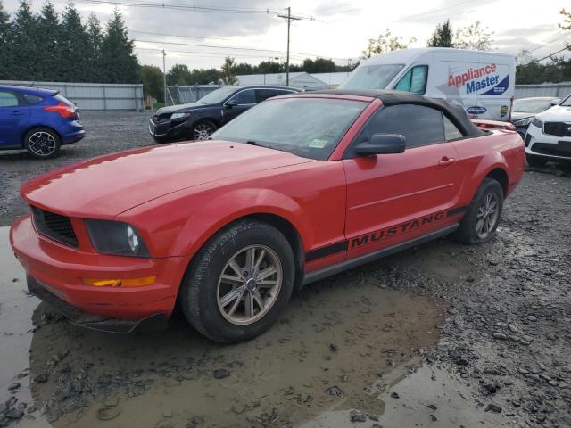 FORD MUSTANG 2005 1zvft84n155216162