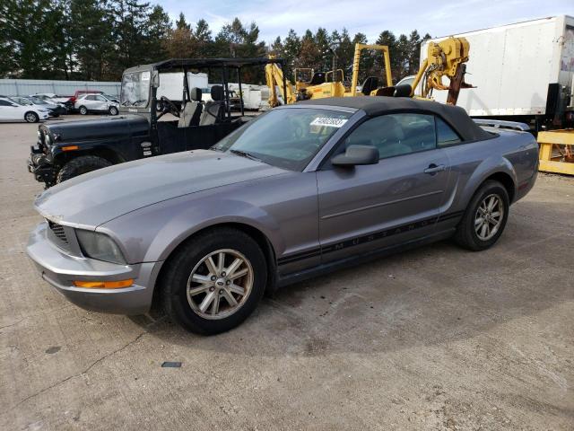 FORD MUSTANG 2006 1zvft84n165104978