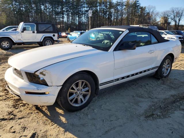 FORD MUSTANG 2006 1zvft84n165226076