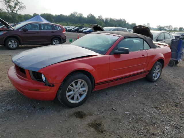 FORD MUSTANG 2006 1zvft84n165244464