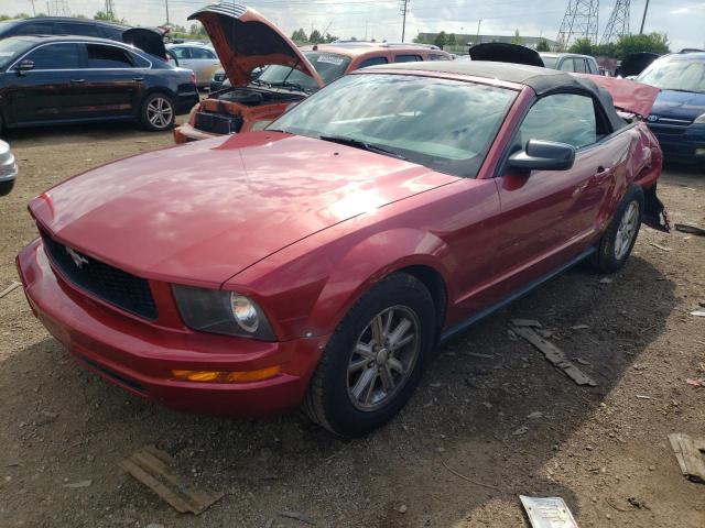 FORD MUSTANG 2007 1zvft84n175339527