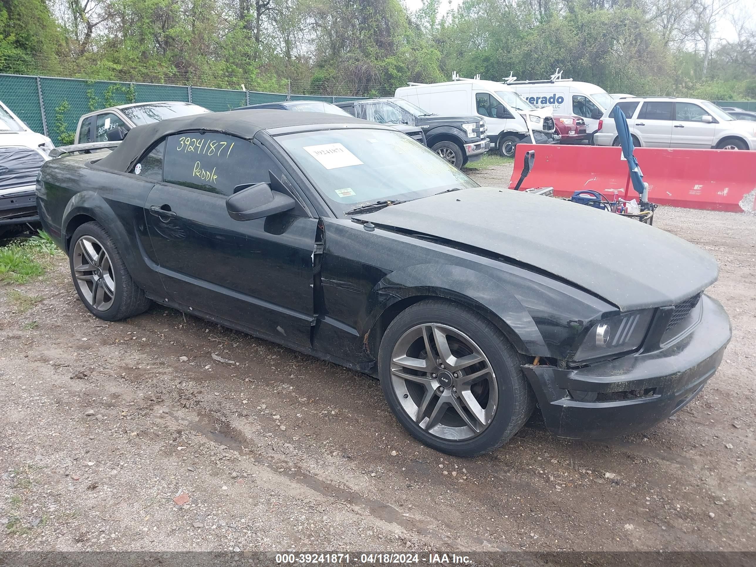 FORD MUSTANG 2005 1zvft84n255233990