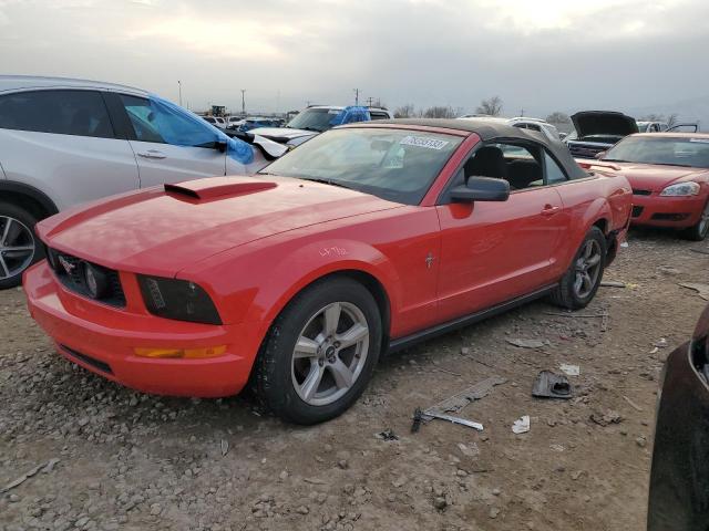 FORD ALL MODELS 2006 1zvft84n265111924