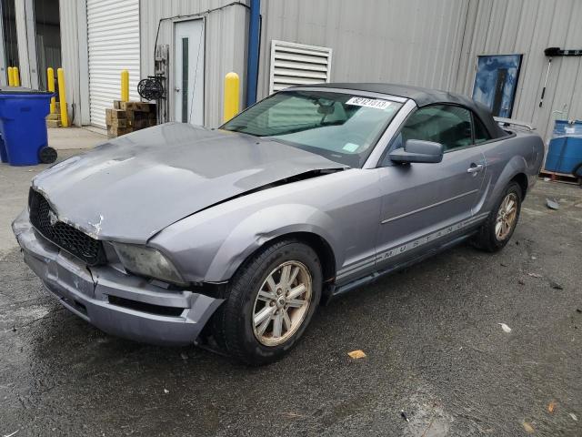 FORD MUSTANG 2006 1zvft84n265217774