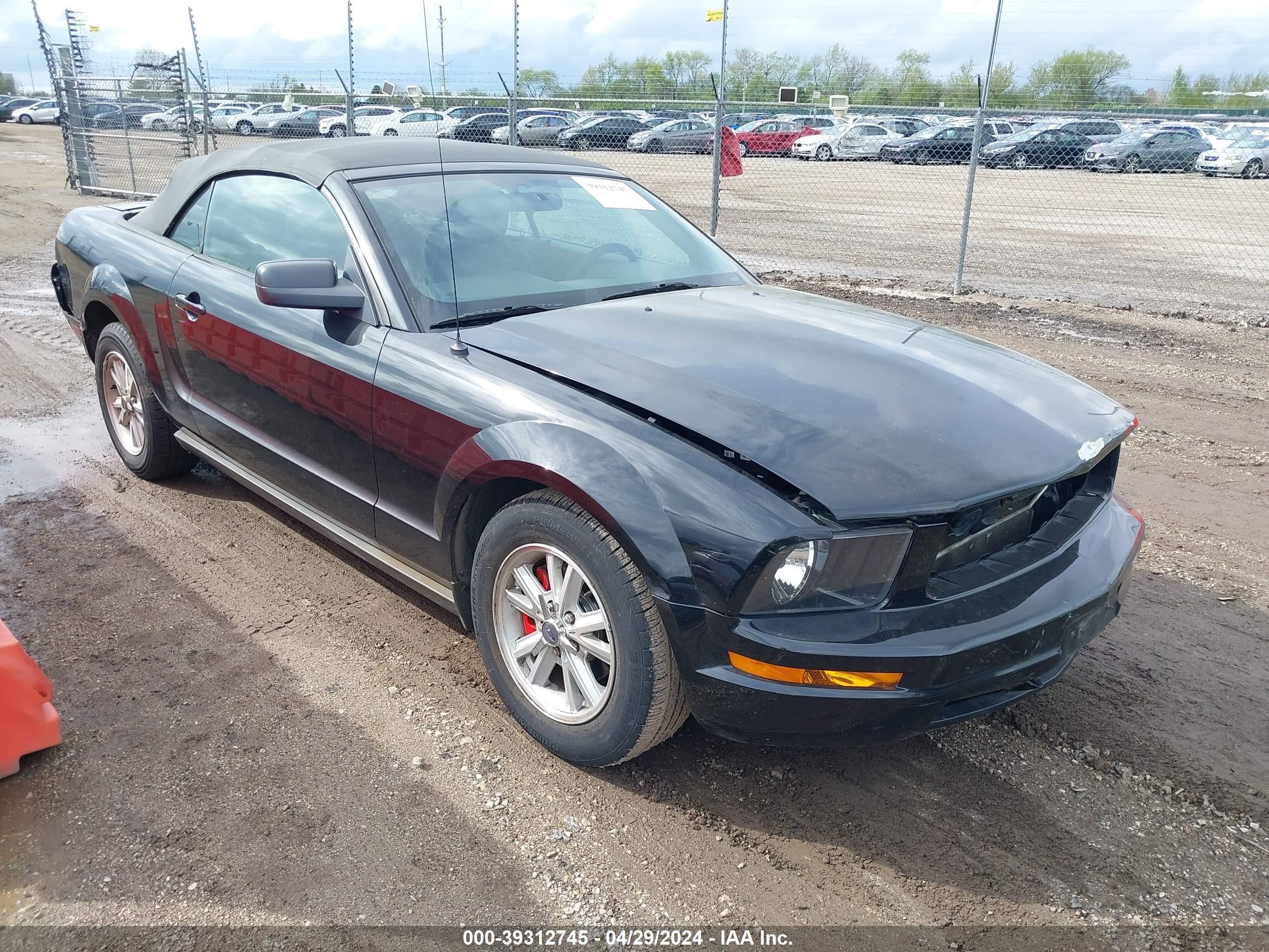 FORD MUSTANG 2006 1zvft84n265230539