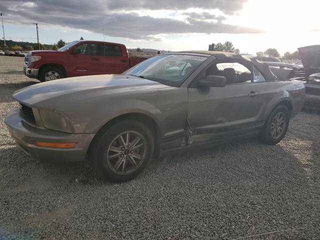 FORD MUSTANG 2005 1zvft84n355232153