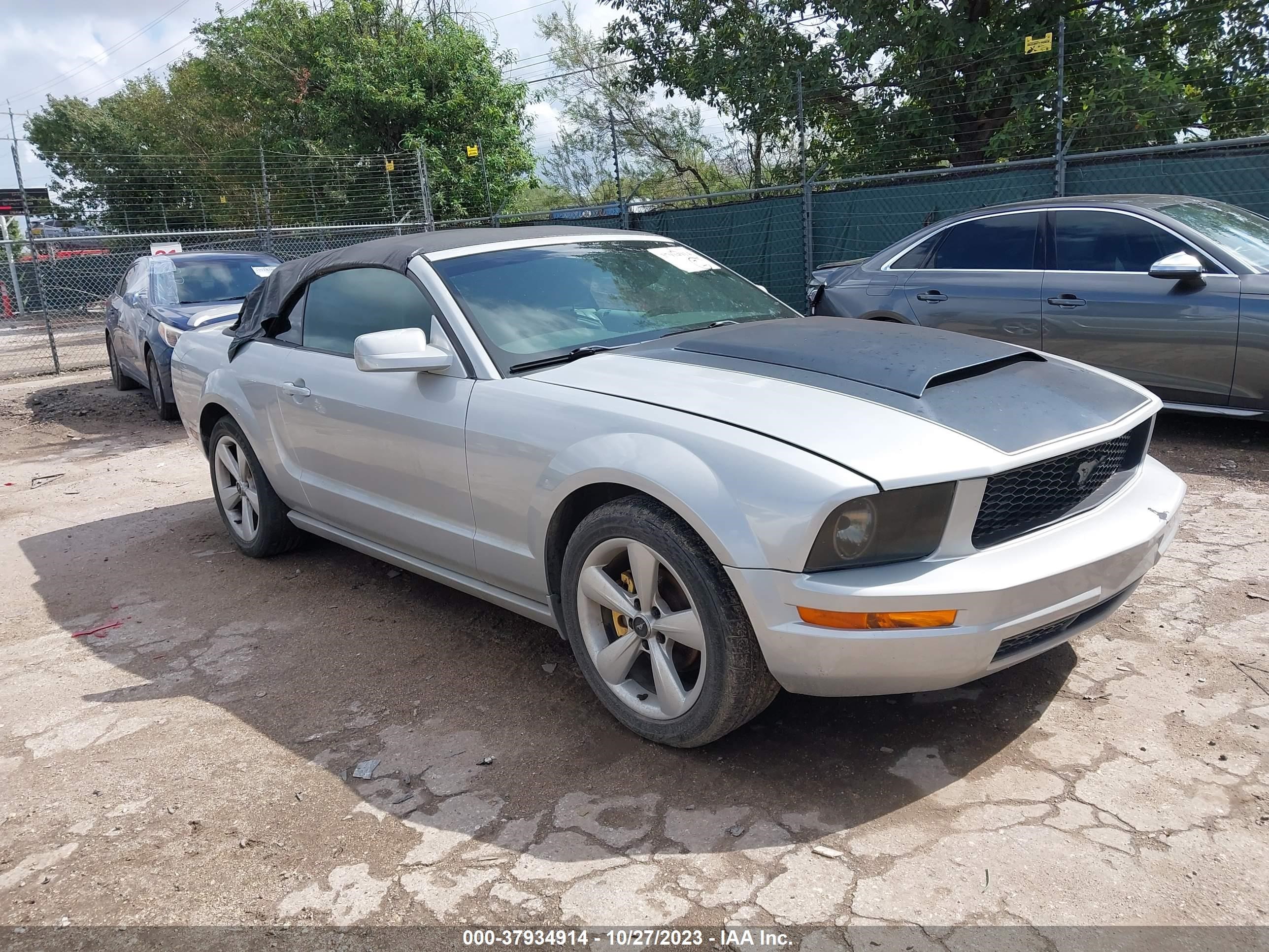 FORD MUSTANG 2006 1zvft84n365151347