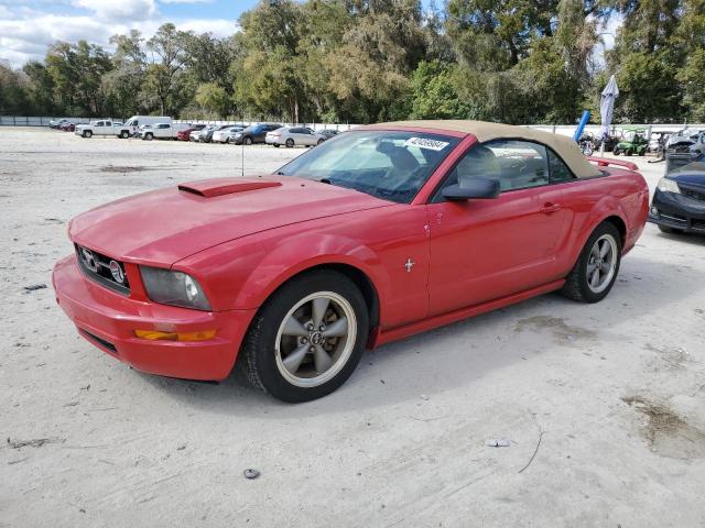 FORD MUSTANG 2006 1zvft84n365244062