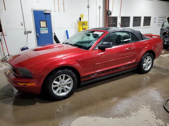 FORD MUSTANG 2006 1zvft84n365244367