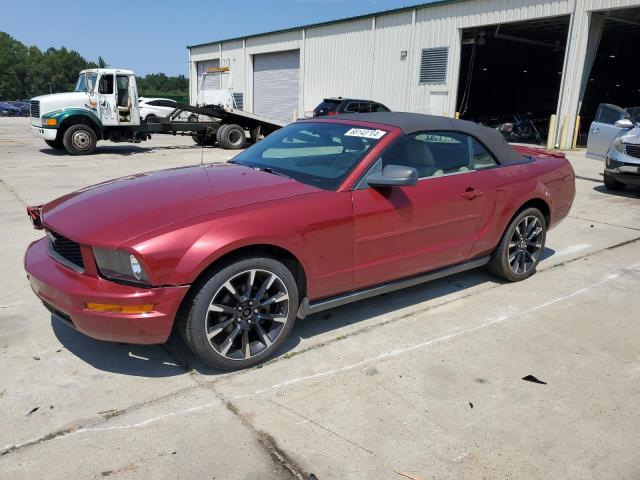 FORD MUSTANG 2007 1zvft84n375262112