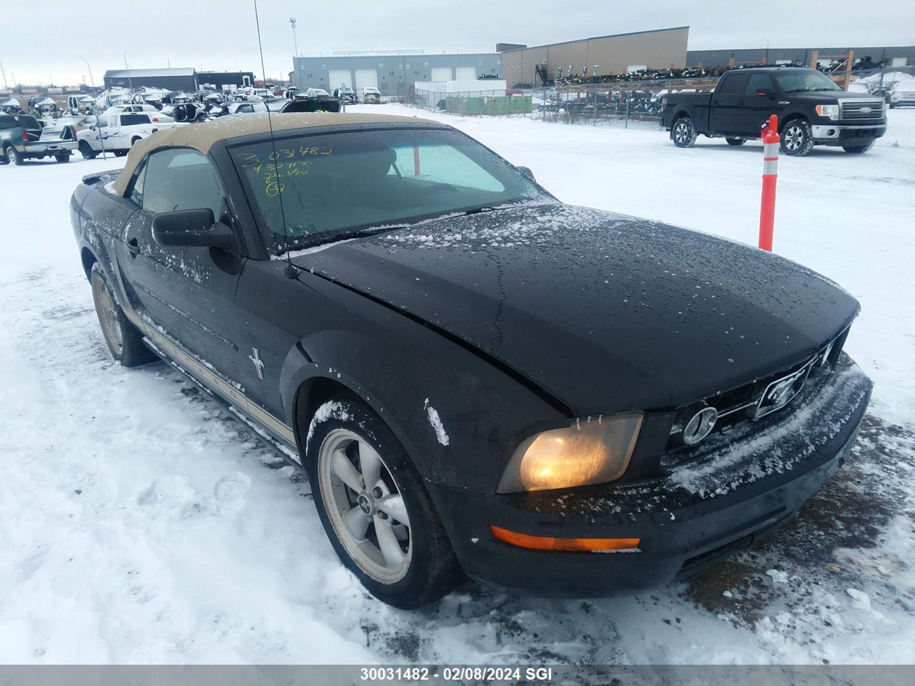 FORD MUSTANG 2007 1zvft84n375327170