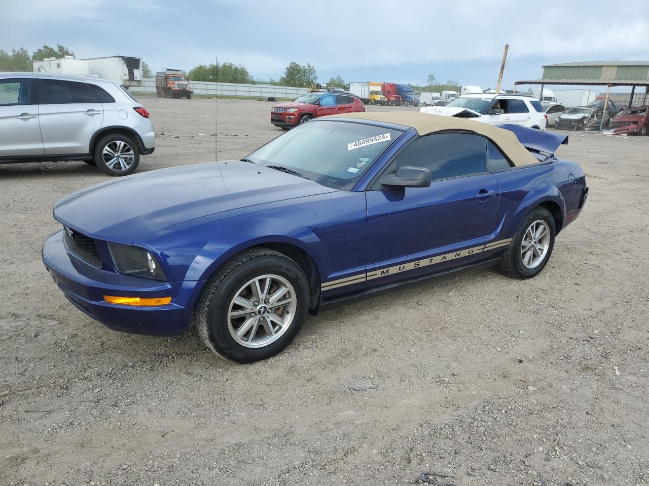 FORD MUSTANG 2005 1zvft84n455189491