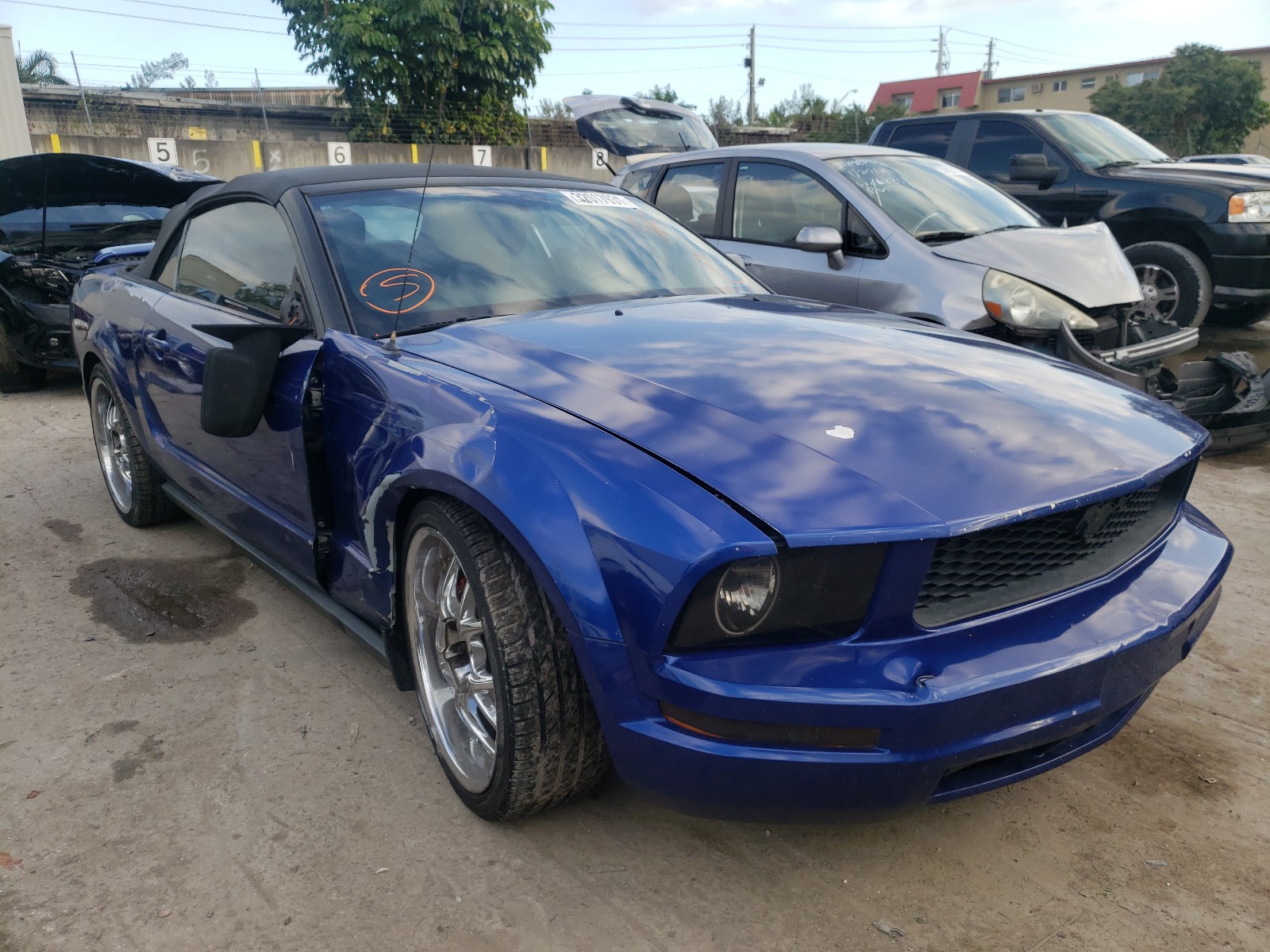 FORD MUSTANG 2005 1zvft84n455250564