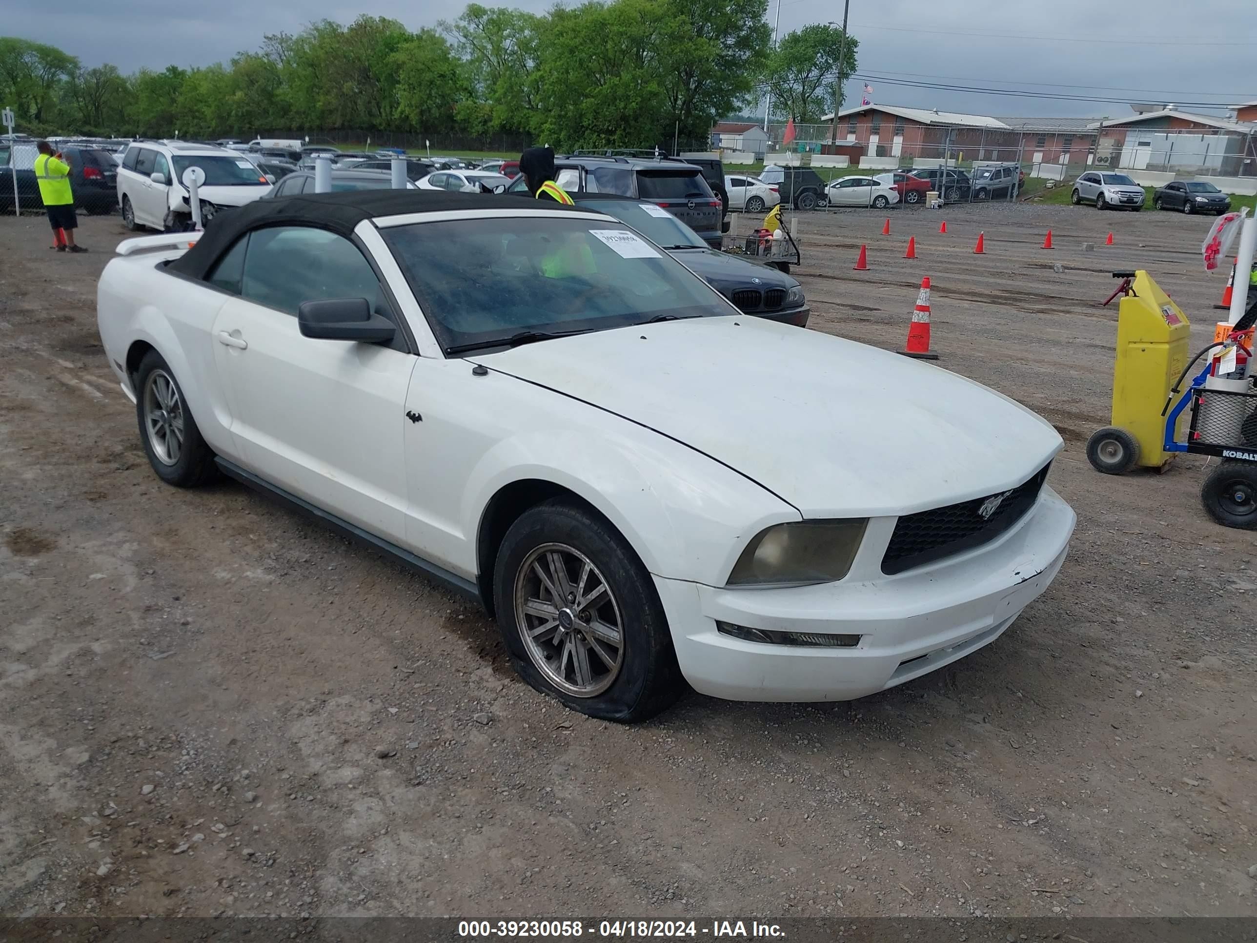 FORD MUSTANG 2005 1zvft84n555189452