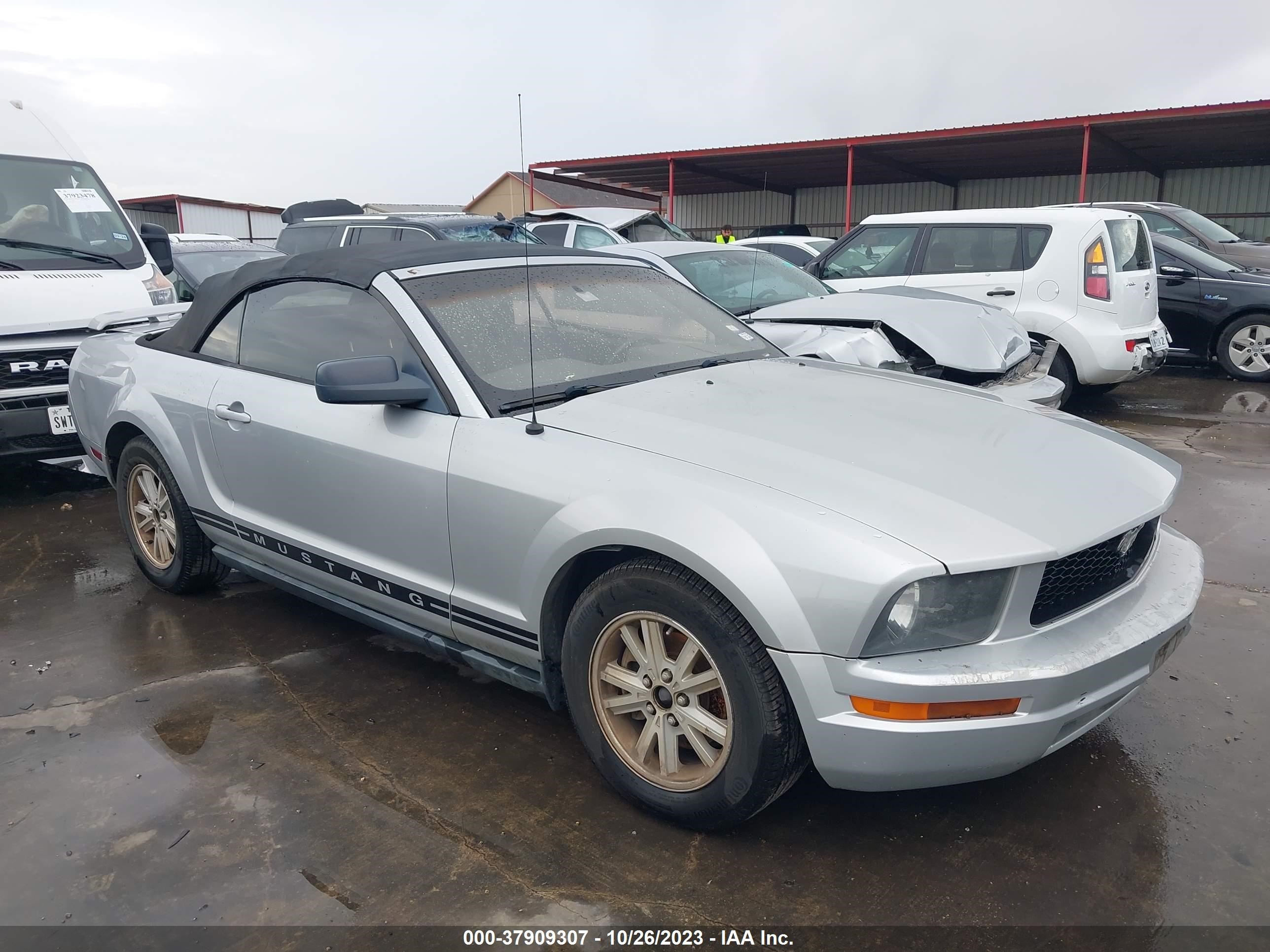 FORD MUSTANG 2006 1zvft84n565107091