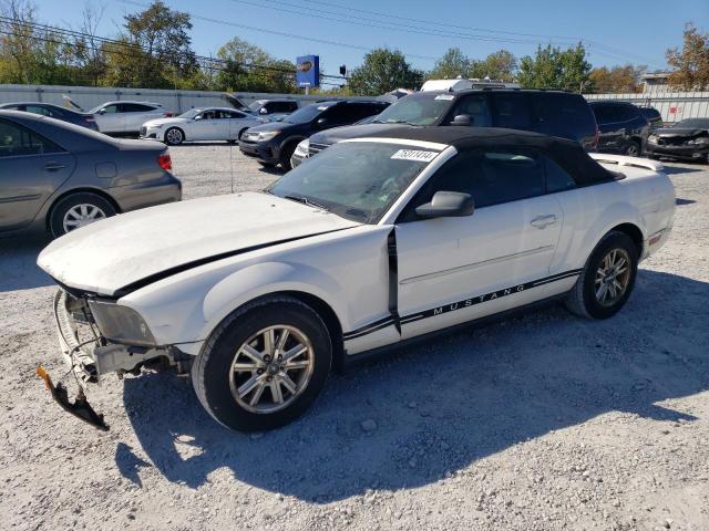 FORD MUSTANG 2006 1zvft84n565166156