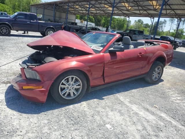 FORD MUSTANG 2006 1zvft84n565184849