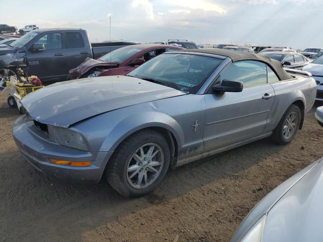 FORD MUSTANG 2006 1zvft84n565198122