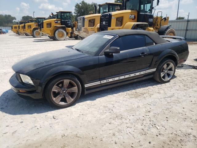 FORD MUSTANG 2006 1zvft84n565198265