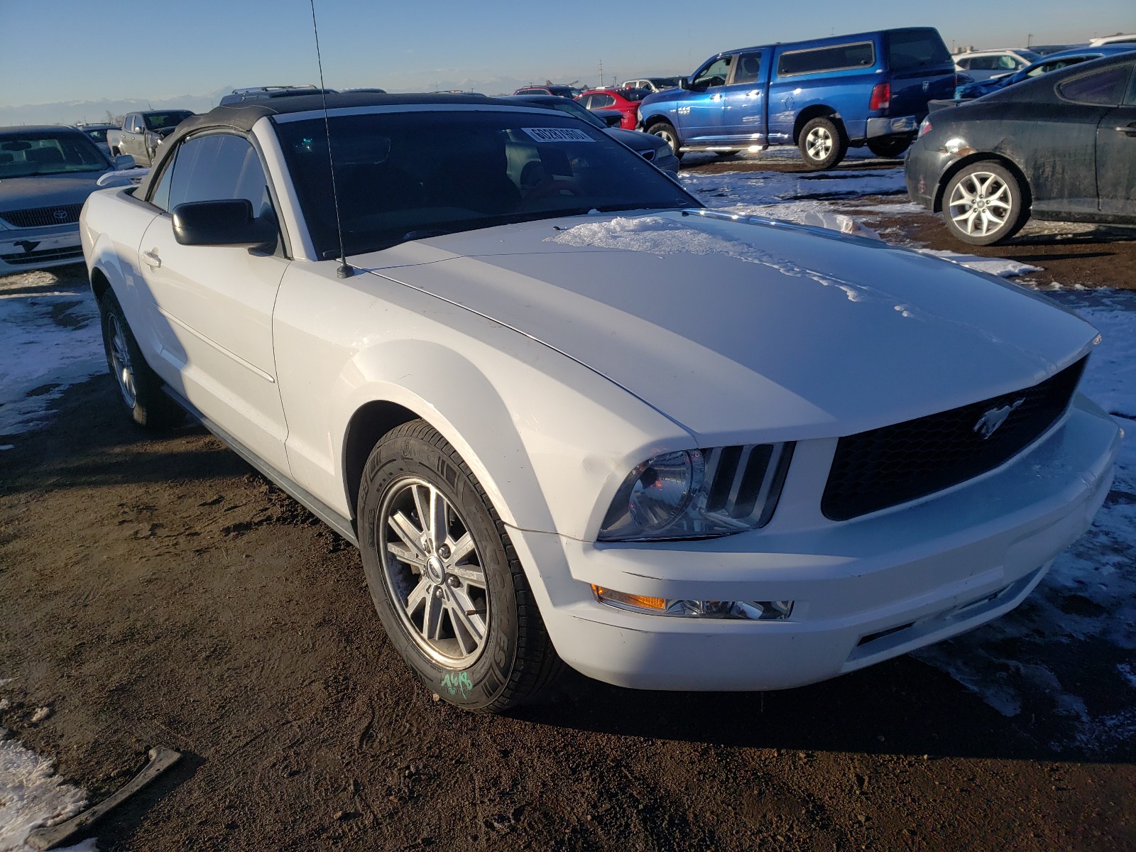 FORD MUSTANG 2007 1zvft84n575278991