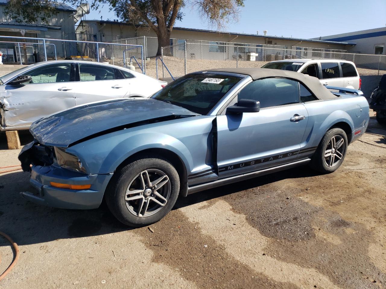 FORD MUSTANG 2005 1zvft84n655179108