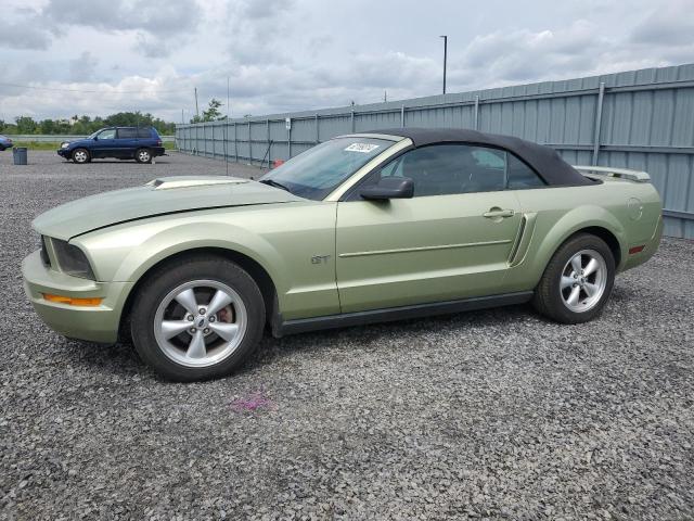 FORD MUSTANG 2005 1zvft84n655200149