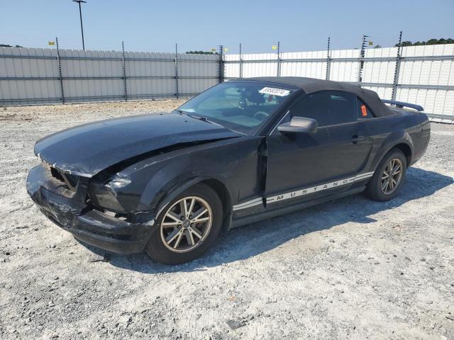 FORD MUSTANG 2005 1zvft84n655203164