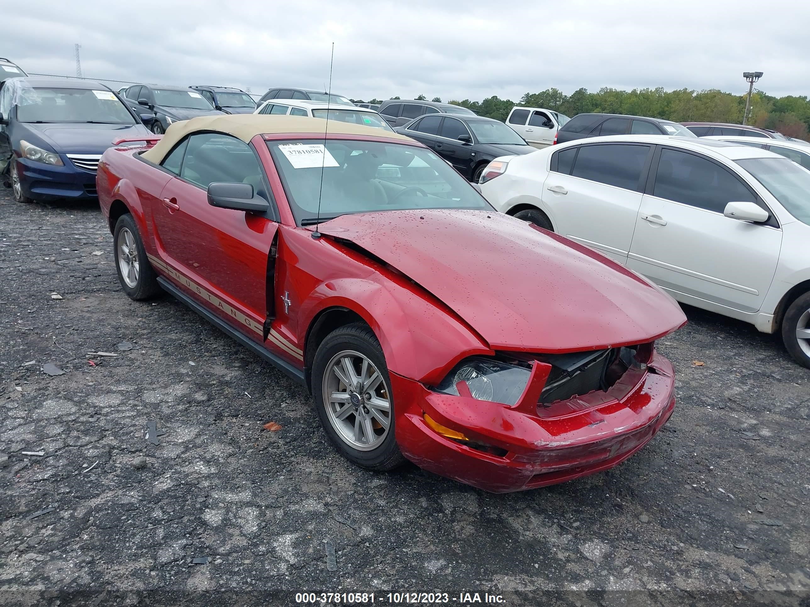 FORD MUSTANG 2006 1zvft84n665105477