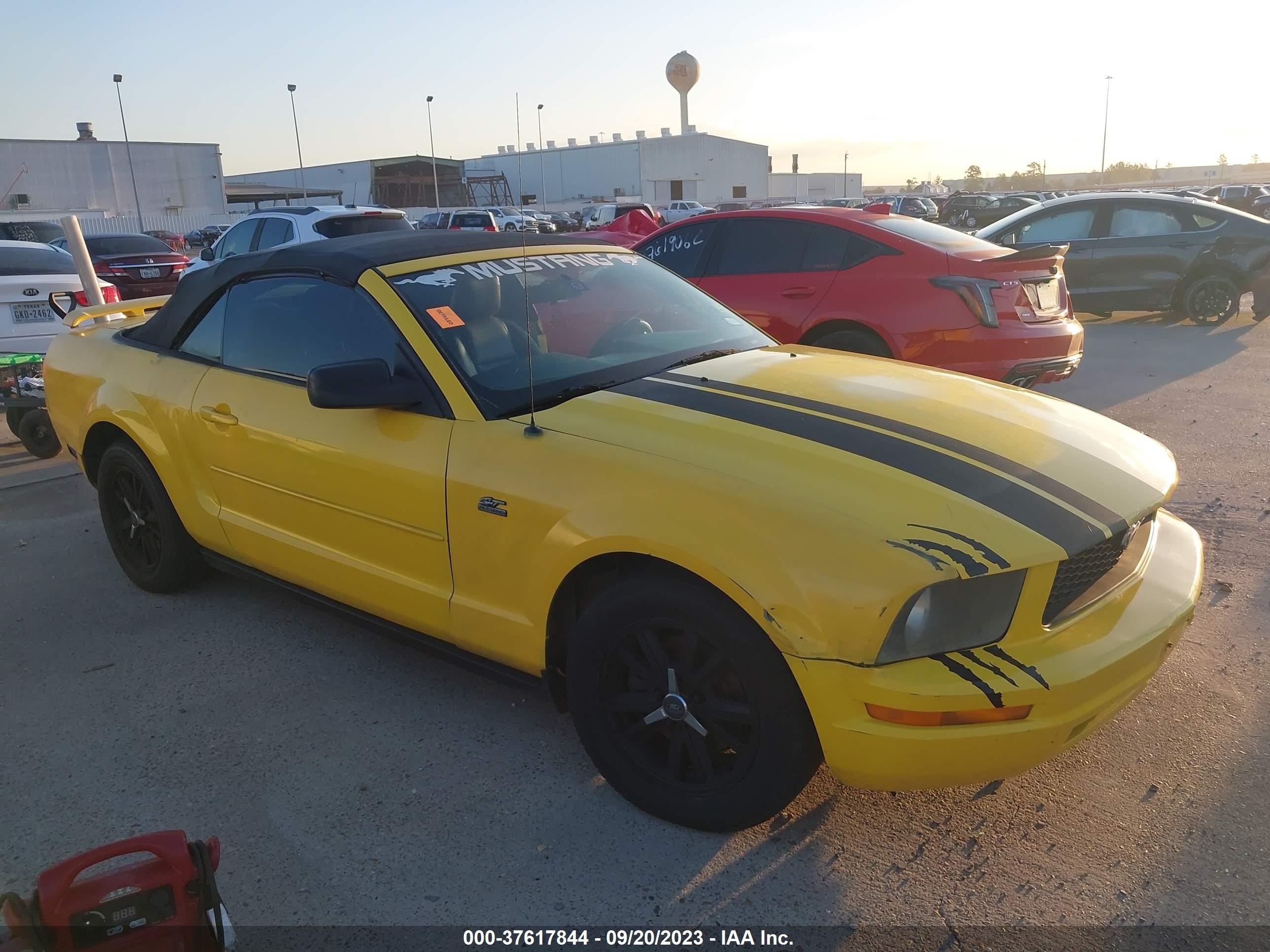 FORD MUSTANG 2006 1zvft84n665105964