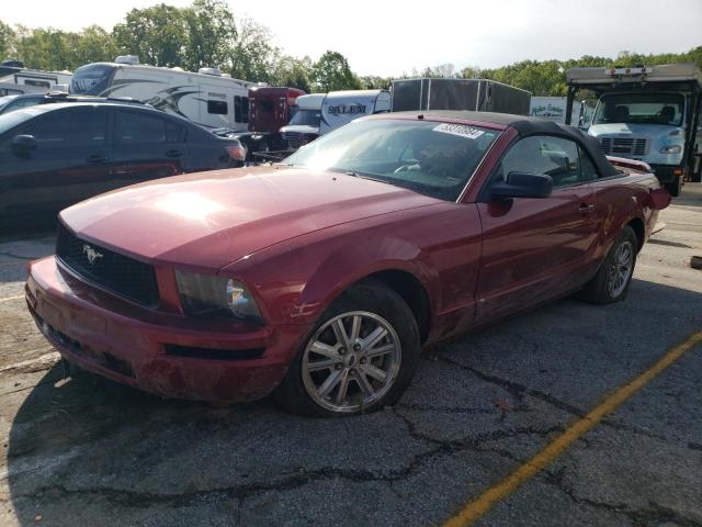 FORD MUSTANG 2006 1zvft84n665206423