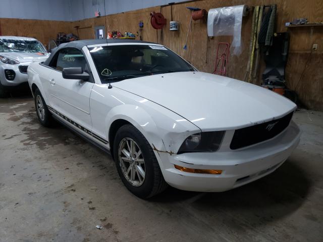 FORD MUSTANG 2006 1zvft84n665241821