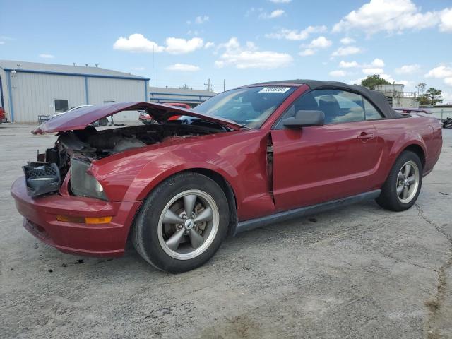 FORD MUSTANG 2007 1zvft84n675279101