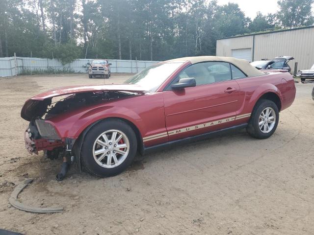 FORD MUSTANG 2007 1zvft84n675297856