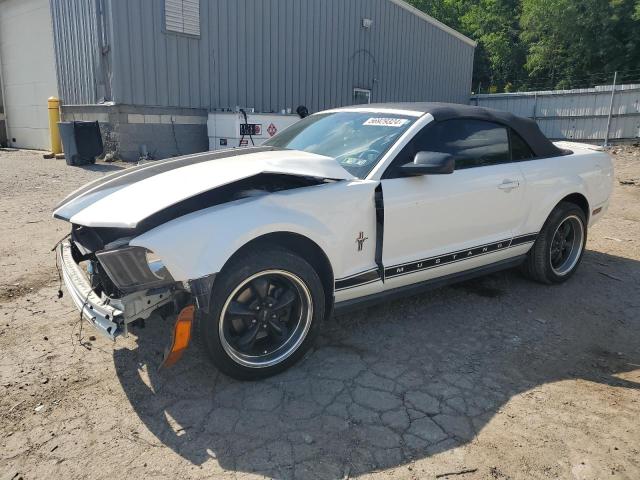 FORD MUSTANG 2007 1zvft84n675356047